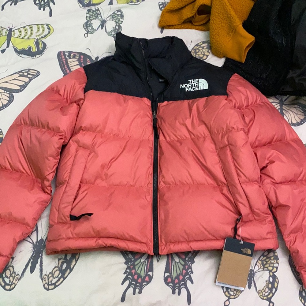 The north face jacket